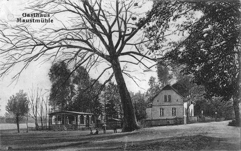 Die Pappel vor der Maustmühle, Postkarte Umlauf 1916, Verlag Albert Petersdorf, Cottbus